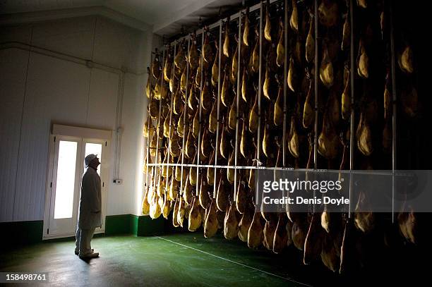 Worker of the Estrella de Castilla factory looks at a row of dry-cured Jamon Iberico de bellota in the in the town of Guijuelo on December 14, 2012...