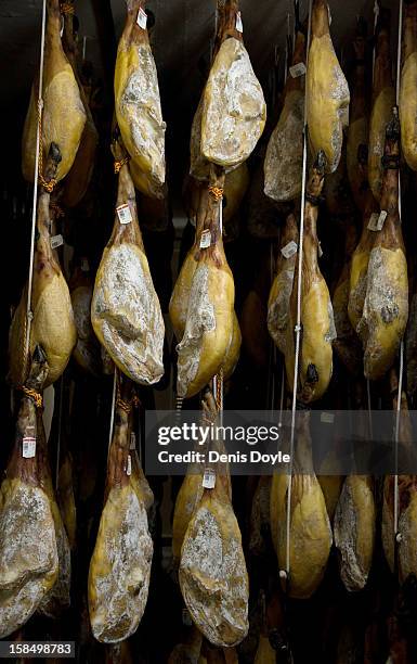 Row of dry-cured Jamon Iberico de Bellota hang at the Estrella de Castilla factory in the town of Guijuelo on December 14, 2012 near Salamanca,...