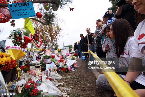 General view of a makeshift memorial in honor of singer Jenni Rivera, who died in a plane crash aged 43 early on Sunday morning in Northern Mexico,...