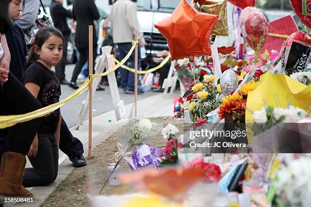General view of a makeshift memorial in honor of singer Jenni Rivera, who died in a plane crash aged 43 early on Sunday morning in Northern Mexico,...
