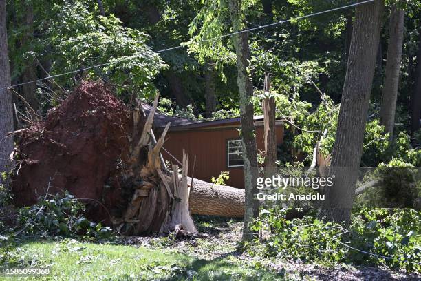 View of downed trees following severe storms that swept Troutman, North Carolina, United States on August 8, 2023. At least two people lost their...