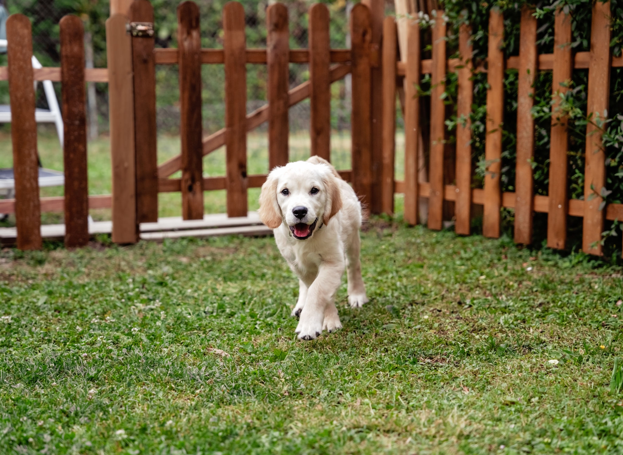 fencing training