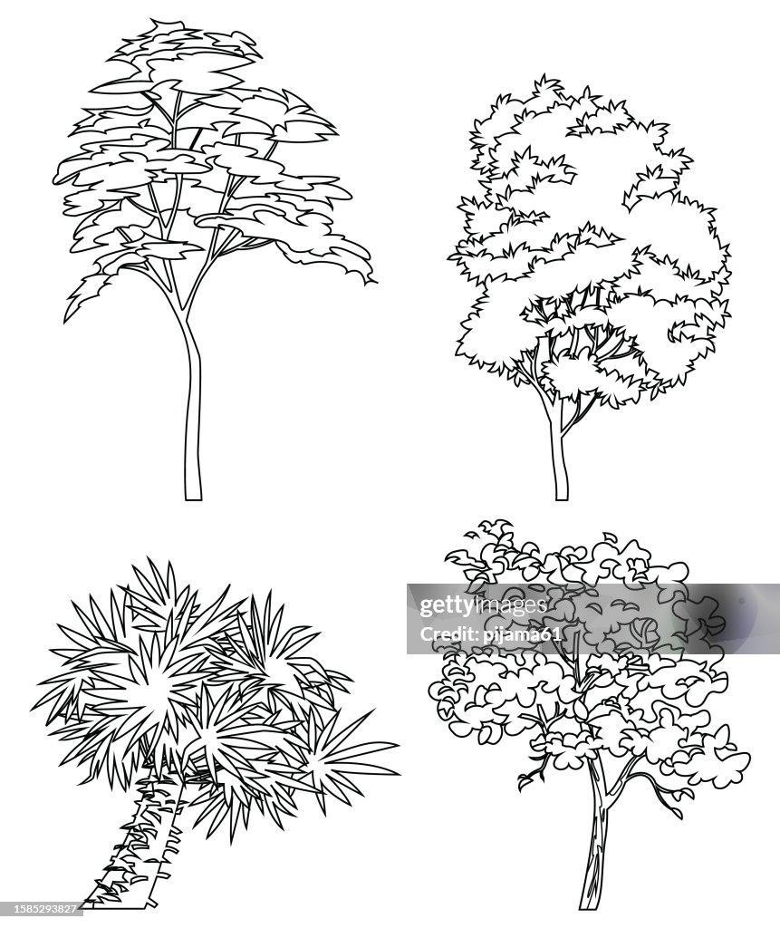 Different Hand Drawn Trees Isolated On White Background Sketch Drawing ...