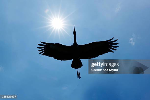 the flying silhouette - soe myint stock-fotos und bilder