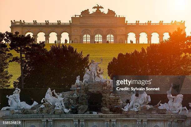 neptune fountain and gloriette, schonbrunn palace - schonbrunn palace vienna stock pictures, royalty-free photos & images