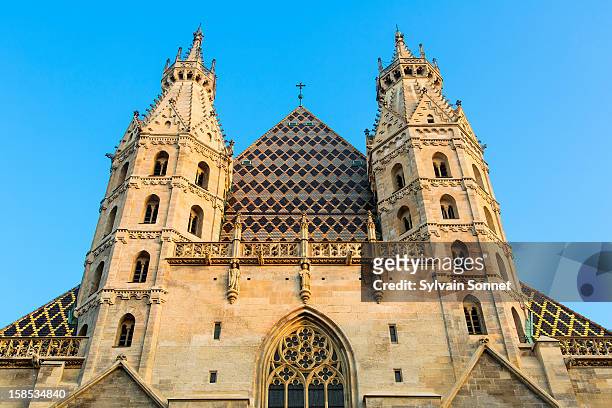 st stephen's cathedral, vienna - st stephens cathedral vienna imagens e fotografias de stock