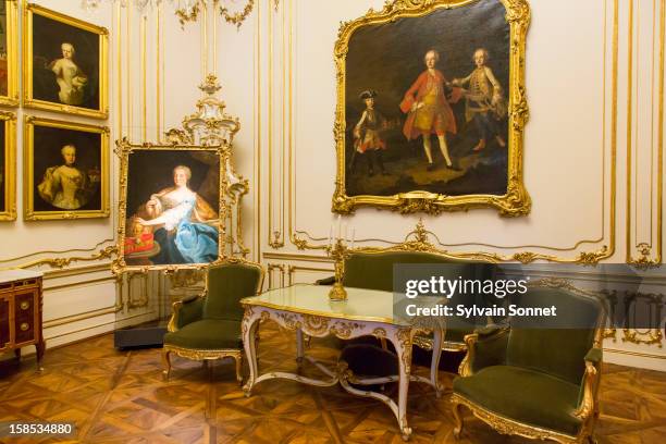 vienna, schonbrunn palace - schonbrunn palace stock pictures, royalty-free photos & images