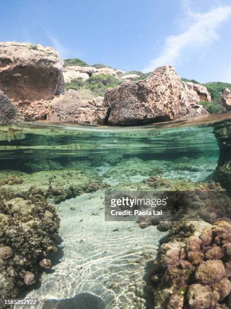 underwater image of the mediterranean sea in summer. - siros fotografías e imágenes de stock