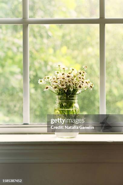 daisies in mason jar on window sill - window sill stock pictures, royalty-free photos & images