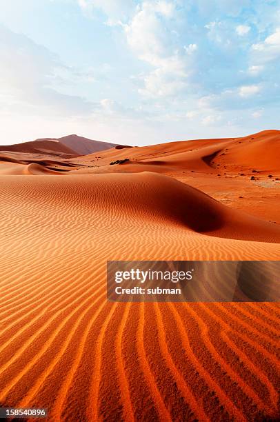 desert pattern - sossusvlei stock pictures, royalty-free photos & images