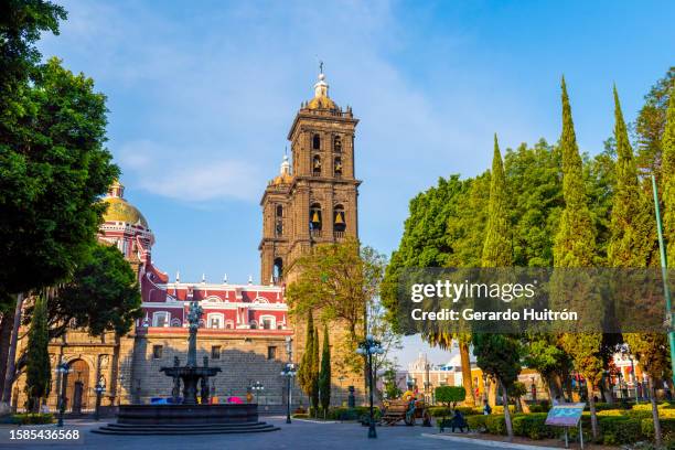 puebla cathedral - puebla state 個照片及圖片檔