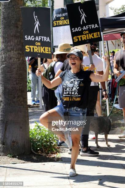 Cheri Oteri is seen picketing with SAG-AFTRA and WGA members outside of Warner Brothers studios on August 8, 2023 in Burbank, California.