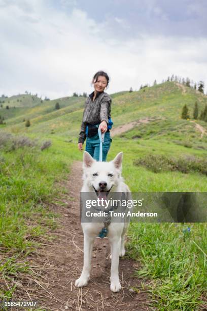 young woman walking her dog on a leash - sun valley idaho stock pictures, royalty-free photos & images