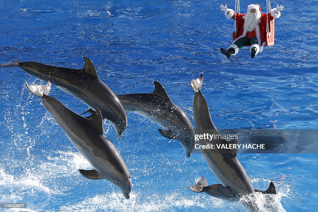 FRANCE-CHRISTMAS-ANIMALS