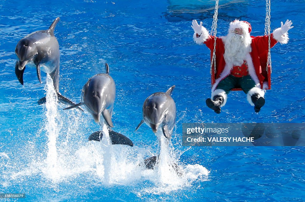 FRANCE-CHRISTMAS-ANIMALS