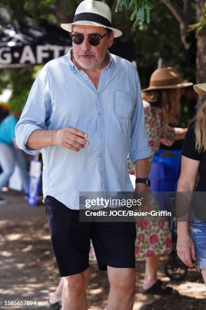 Alfred Molina is seen at the SAG-AFTRA picket line in on August 08, 2023 in Burbank, California.