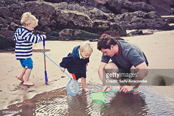 father and sons on the beach - gezeitentümpel stock-fotos und bilder