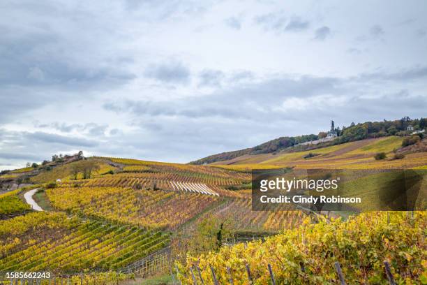 rudesheim wine country - rheingau stockfoto's en -beelden