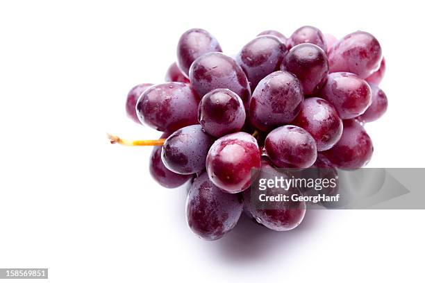 blue grapes - grapes isolated stock pictures, royalty-free photos & images