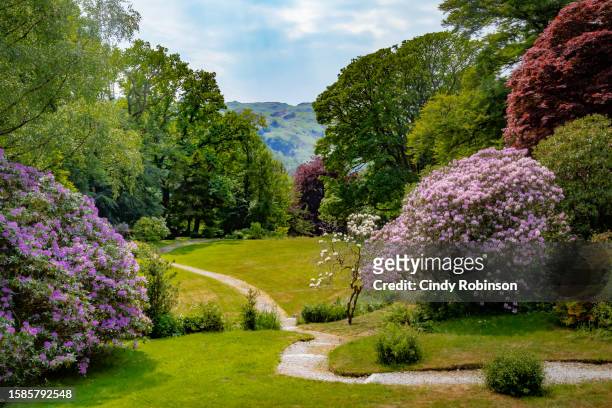 english garden view - englischer garten stock-fotos und bilder