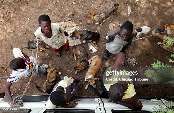 Boys wait patiently with their dogs in a line during a mass rabies vaccination day in Bunda, Tanzania, October 8, 2012.