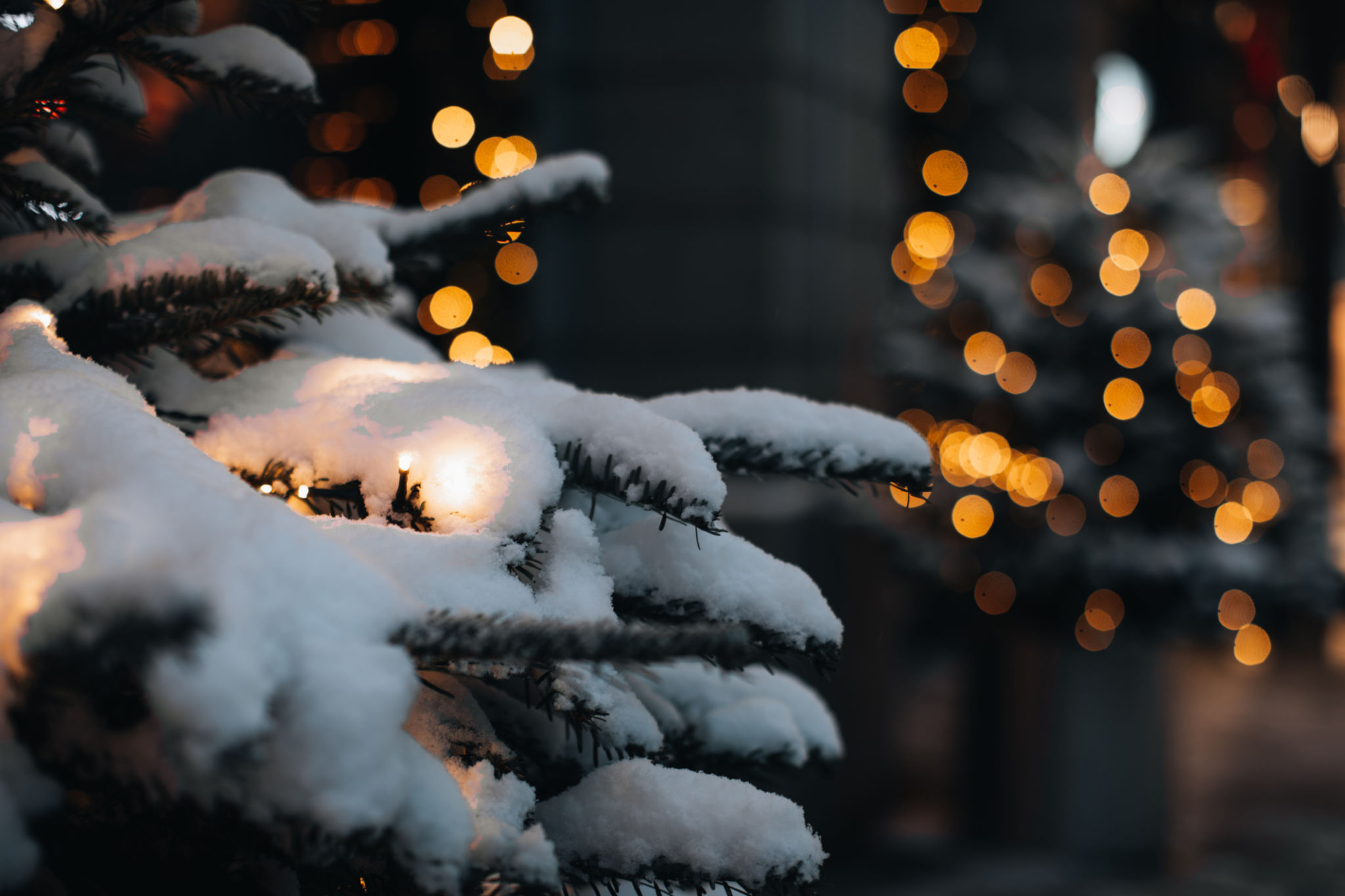 smart christmas lighting