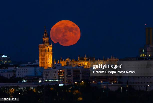 The Sturgeon moon rises behind the Giralda and the Cathedral on August 1, 2023 in Seville .