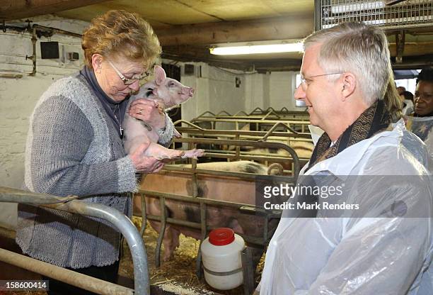Prince Philippe of Belgium visits a pig farm on December 20, 2012 in Jodoigne, Belgium.