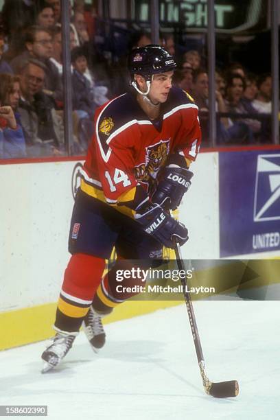 Stu Barnes of the Florida Panthers skates with the puck during a hockey game against the Washington Capitals on November 3, 1995 at USAir Arena in...