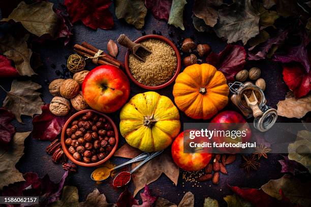 calabazas decorativas de otoño con manzanas, especias, nueces y hojas de otoño sobre fondo oscuro. día de acción de gracias o vacaciones de halloween - bicolor color fotografías e imágenes de stock