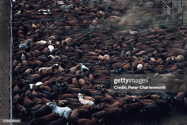 Aerial scene of a cattle station or ranch in outback Australia with ...