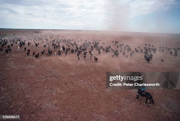 Aerial scene of a cattle station or ranch in outback Australia with a ...