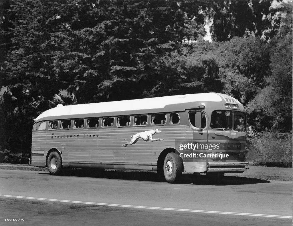 Greyhound Bus