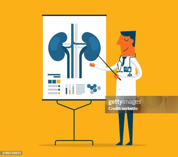 stockillustraties, clipart, cartoons en iconen met doctor gives a training lecture about anatomy - human kidneys - nierbekkenontsteking