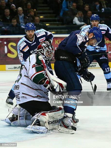 Thomas Dolak of Hamburg battles for the puck with Patrick Ehelechner , goaltender of Augsburg during the DEL match between Hamburg Freezers and...