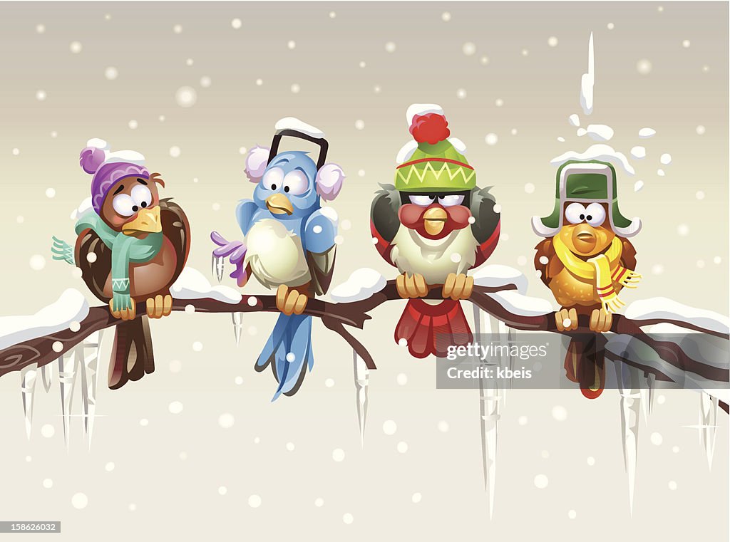 Shivering Birds
