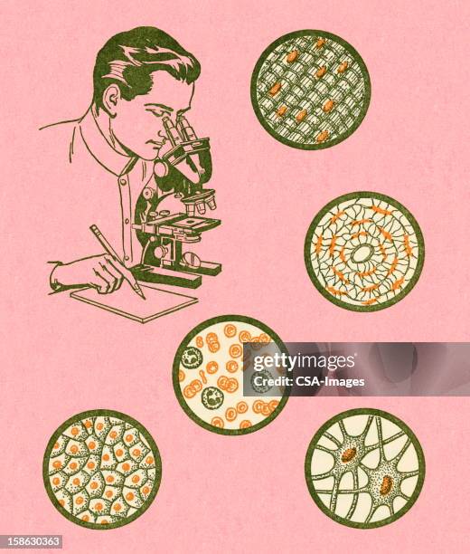 scientist looking at cells under mircoscope - person looking through magnifying glass stock illustrations