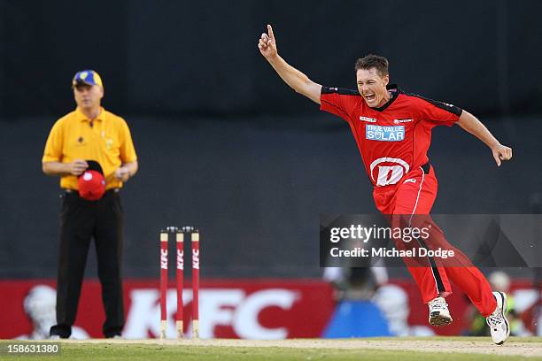 Darren Pattinson of the Melbourne Renegades celebrates his wicket of Thisara Perera of the Brisbane Heat during the Big Bash League match between the...