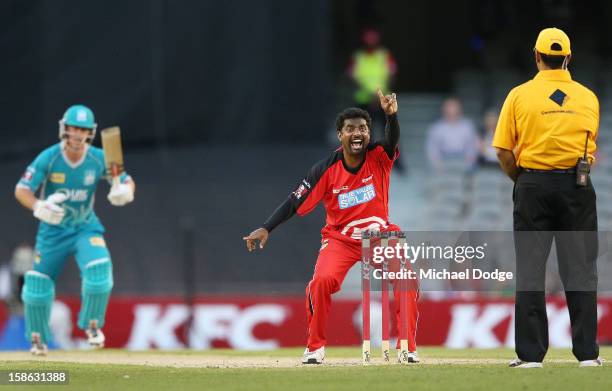 Muthiah Muralidaran of the Melbourne Renegades appeals successfully for LBW to dismiss Chris Lynn of the Brisbane Heat during the Big Bash League...