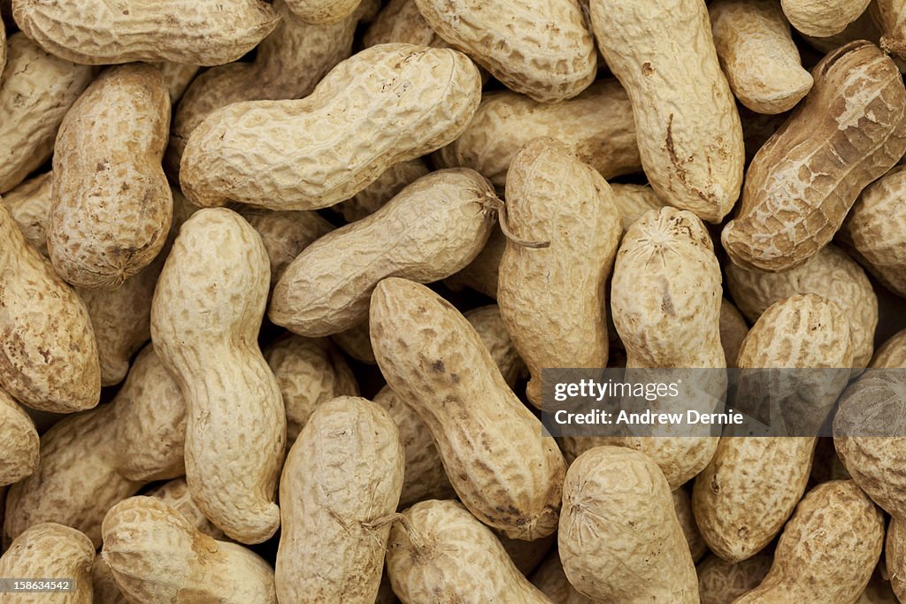 Monkey Nuts