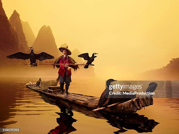 river lee cormorant fisherman - cormorant stock pictures, royalty-free photos & images