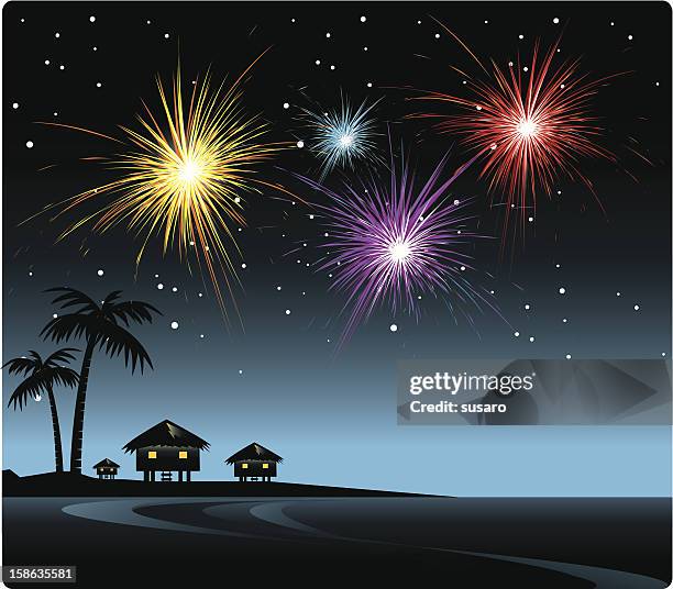 firework on the beach - breathtaking beach stock illustrations