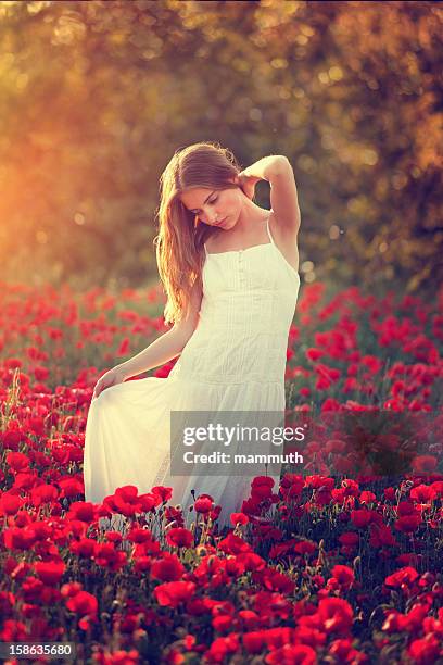 junge schönheit in mohn feld bei sonnenuntergang - kitsch stock-fotos und bilder