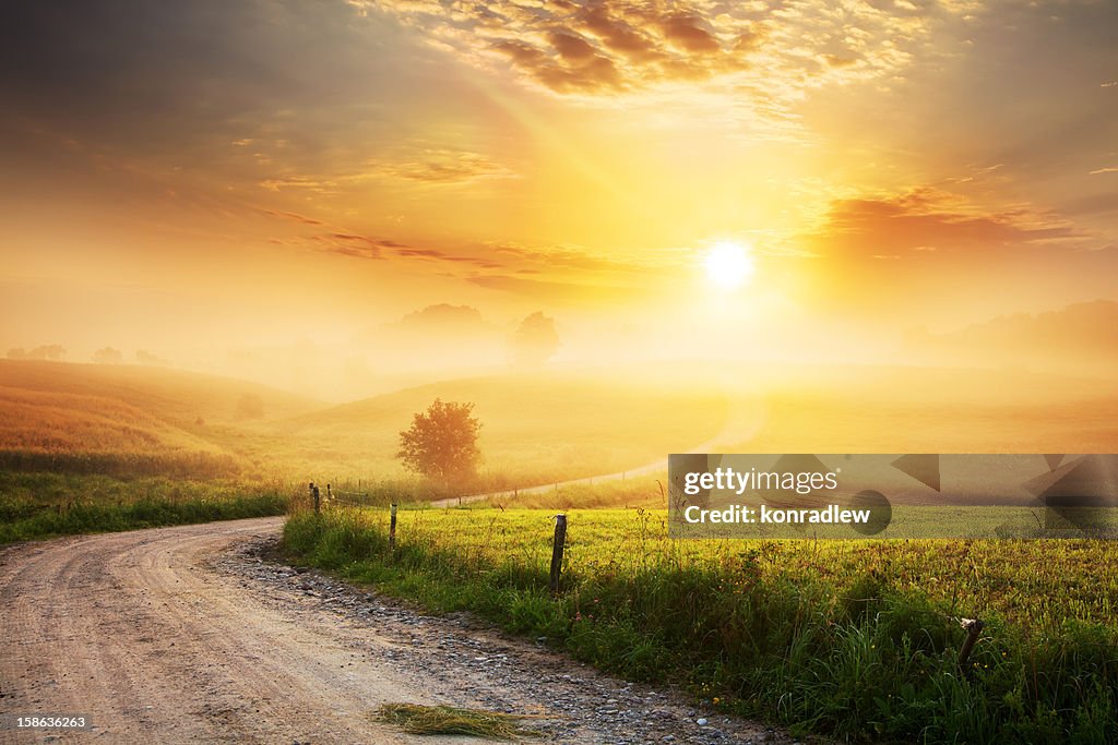Winding Farm Road through Foggy Landscape