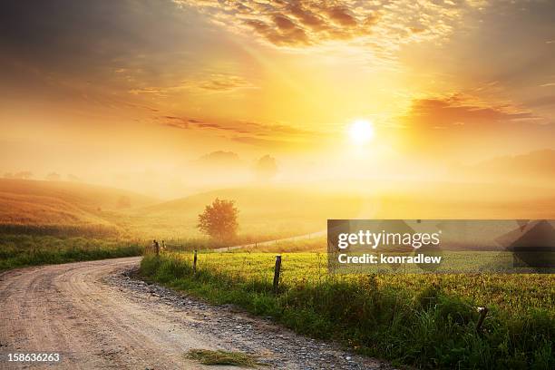 winding farm road through foggy landscape - heaven light stock pictures, royalty-free photos & images