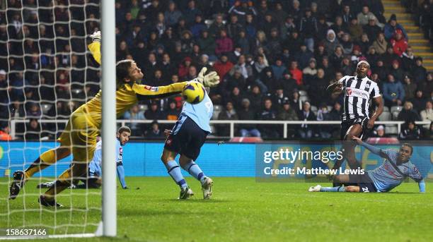 Shola Ameobi of Newcastle beats Robert Green of Queens Park Rangers to score a goal during the Barclays Premier League match between Newcastle United...