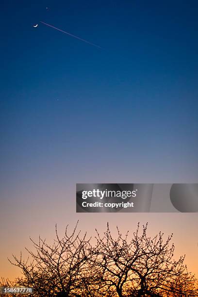 go to the moon - sunset with jet contrails stock pictures, royalty-free photos & images