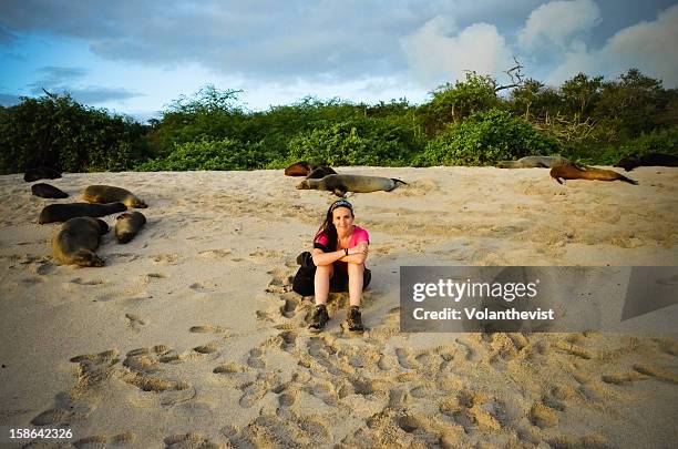 girl on the beach with lots of sleeping sealion - san cristobal - fotografias e filmes do acervo