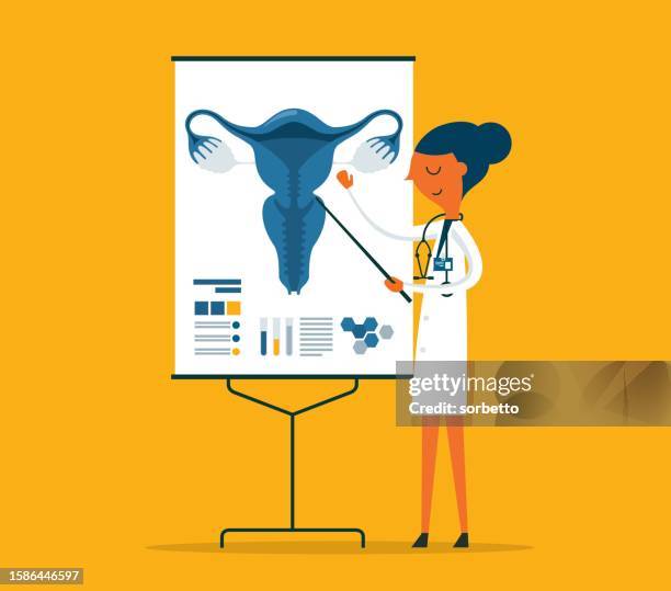 doctor gives a training lecture about anatomy - human uterus - myometrium stock illustrations