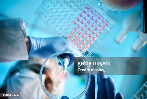 Lab Experiment Lab Experiment